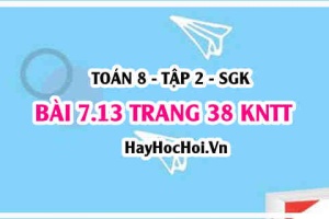 Bài 7.13 trang 38 Toán 8 Tập 2 Kết nối tri thức